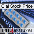 Cial Stock Price 22